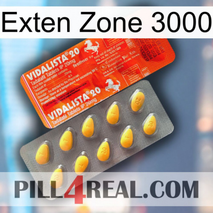 Exten Zone 3000 new01